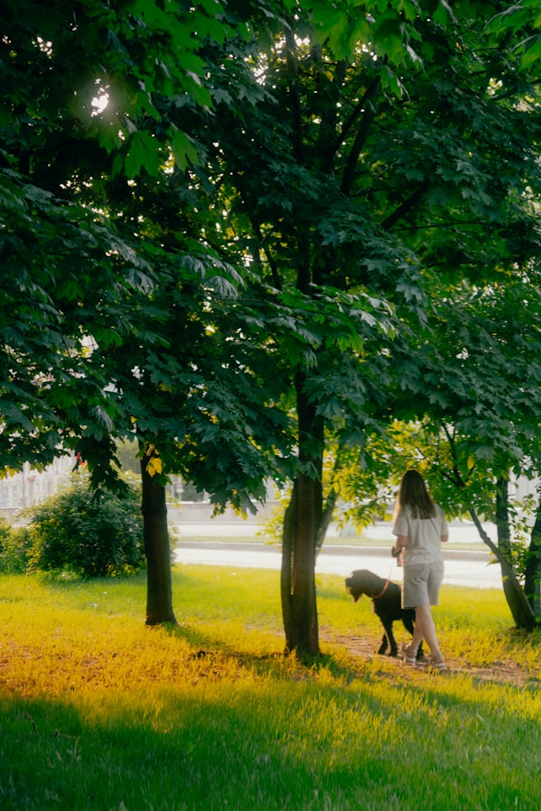 5 Benefits of Daily Dog Walks